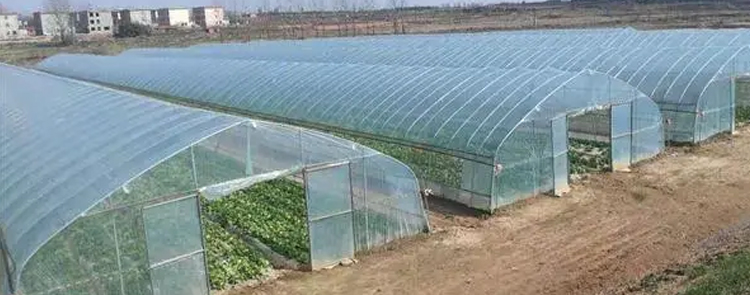 温室大棚的采光问题怎么解决