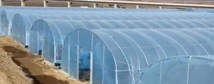 智能温室控制系统简介