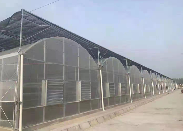薄膜联动温室启用智能温湿度控制器，调控更精准