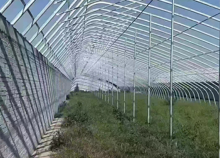 椭圆管冷棚促进垂直种植提升空间利用效率-2