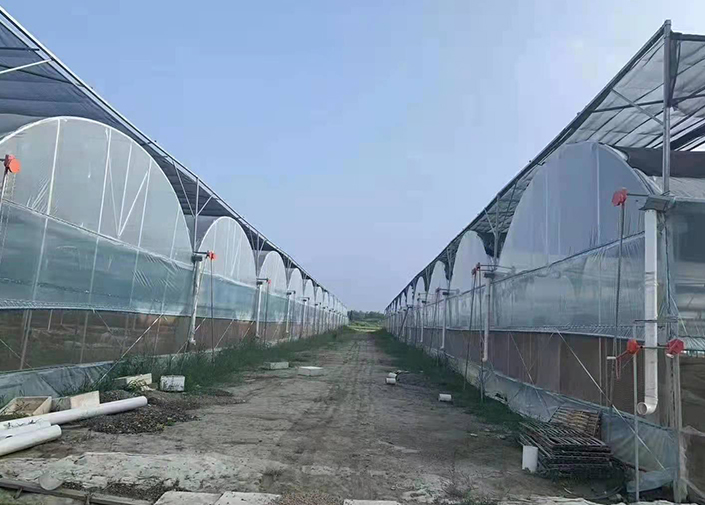 椭圆管暖棚与光伏热水系统：高效节能的应用典范-2
