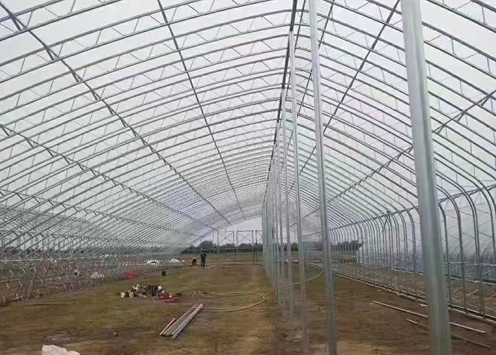 椭圆管暖棚应用石墨烯远红外加热膜,均匀升温无死角-3