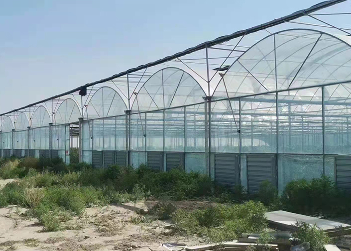 椭圆管冷棚促进垂直种植提升空间利用效率-1